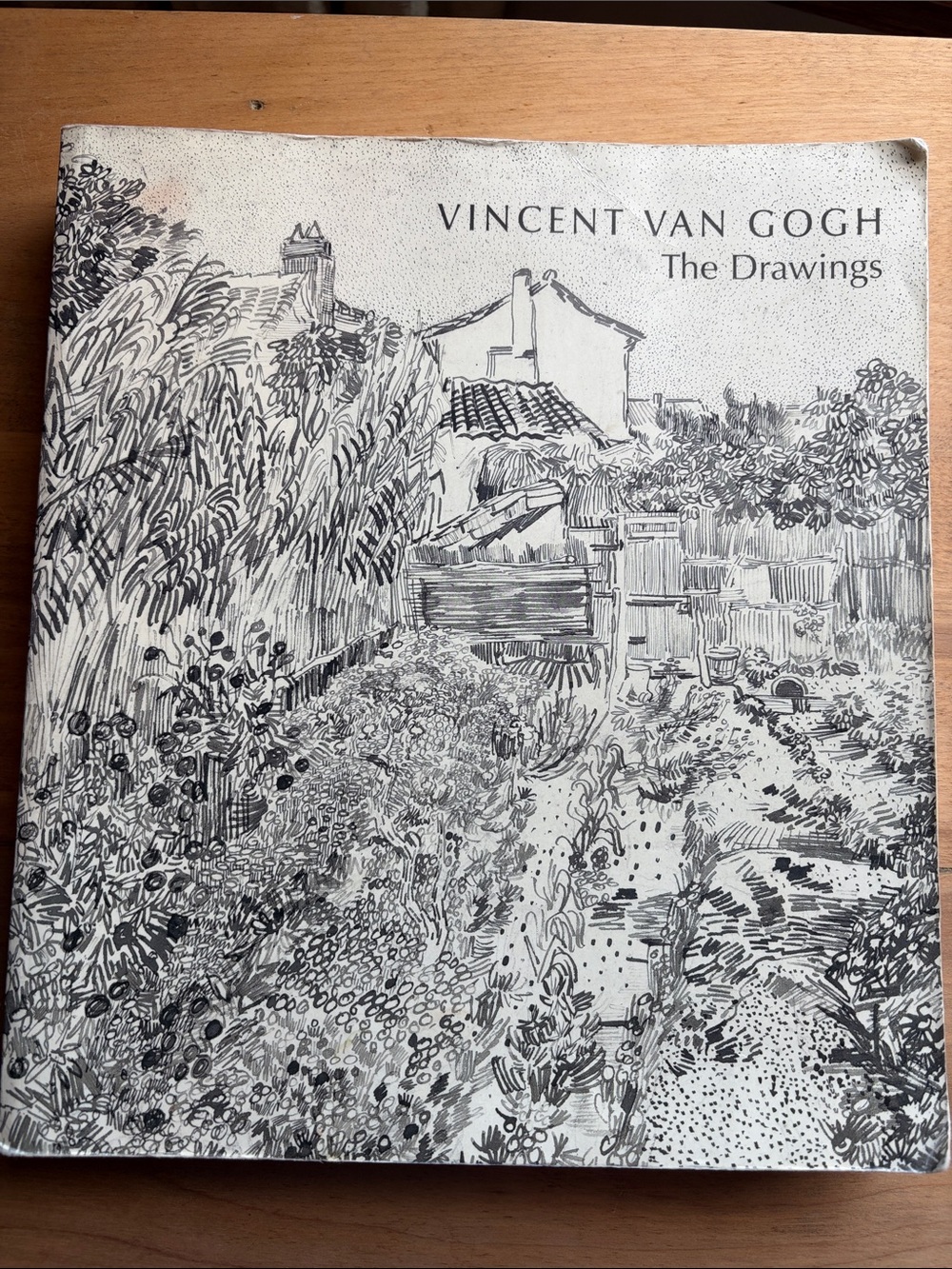 Vincent Van Gogh The Drawings